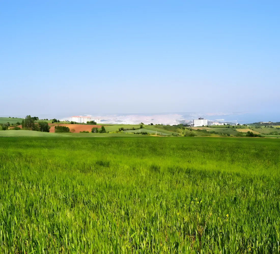 Buying Land in Turkey Conditions and Tips for Foreign Investors