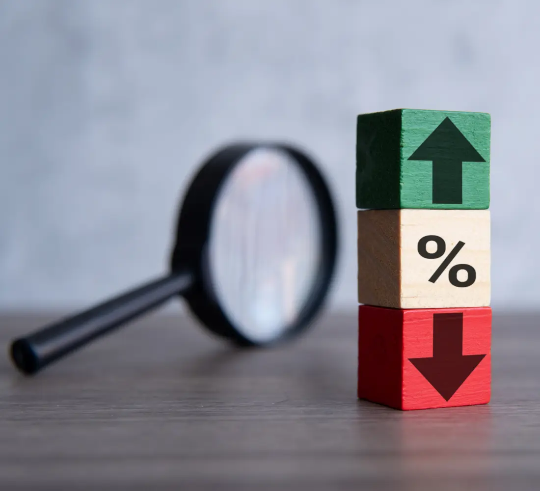 Recession or Interest Rate Changes - Which is Better for the Turkish Economy?
