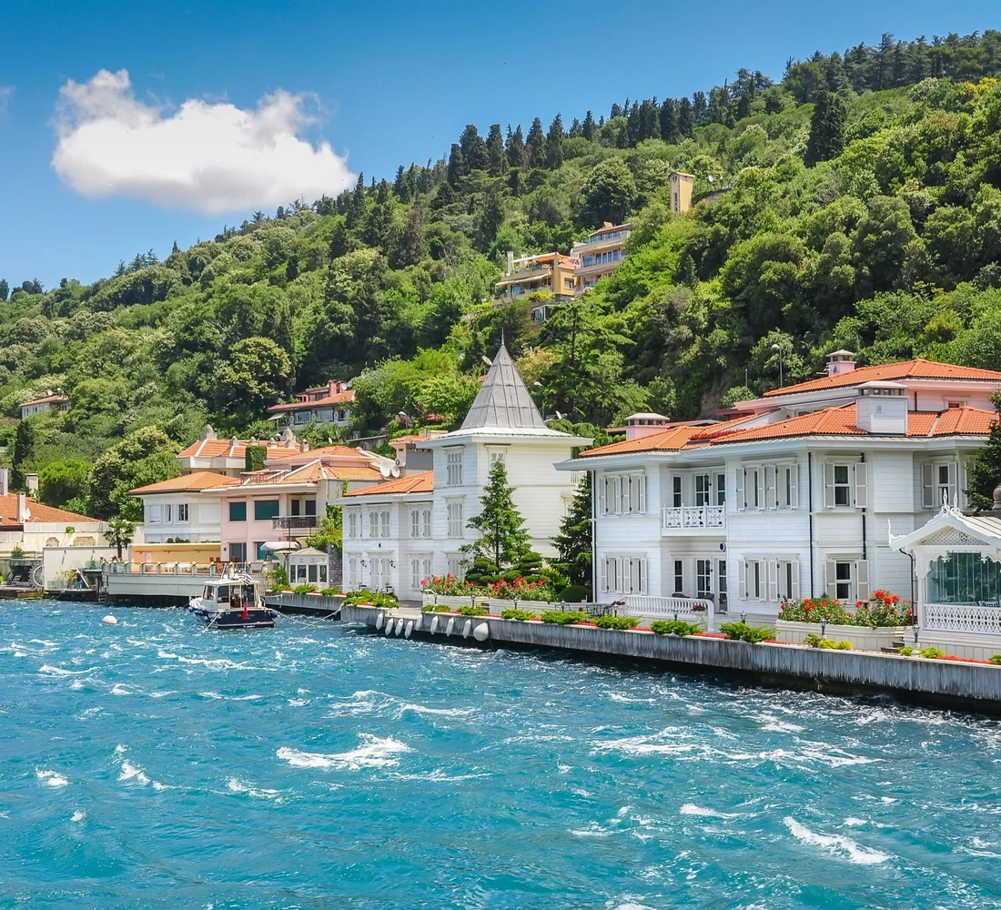 Princes' Islands Tour: Tranquility and Natural Beauty Princes' Islands Tour: Tranquility and Natural Beauty